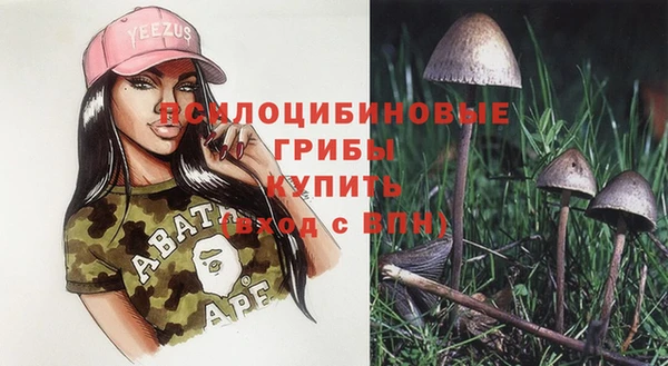 spice Алексин
