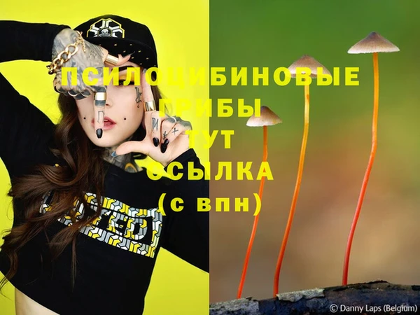 spice Алексин