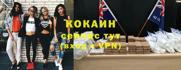 шишки Алексеевка