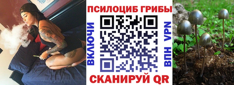 даркнет сайт MEGA ONION Псилоцибиновые грибы Cubensis Сибай