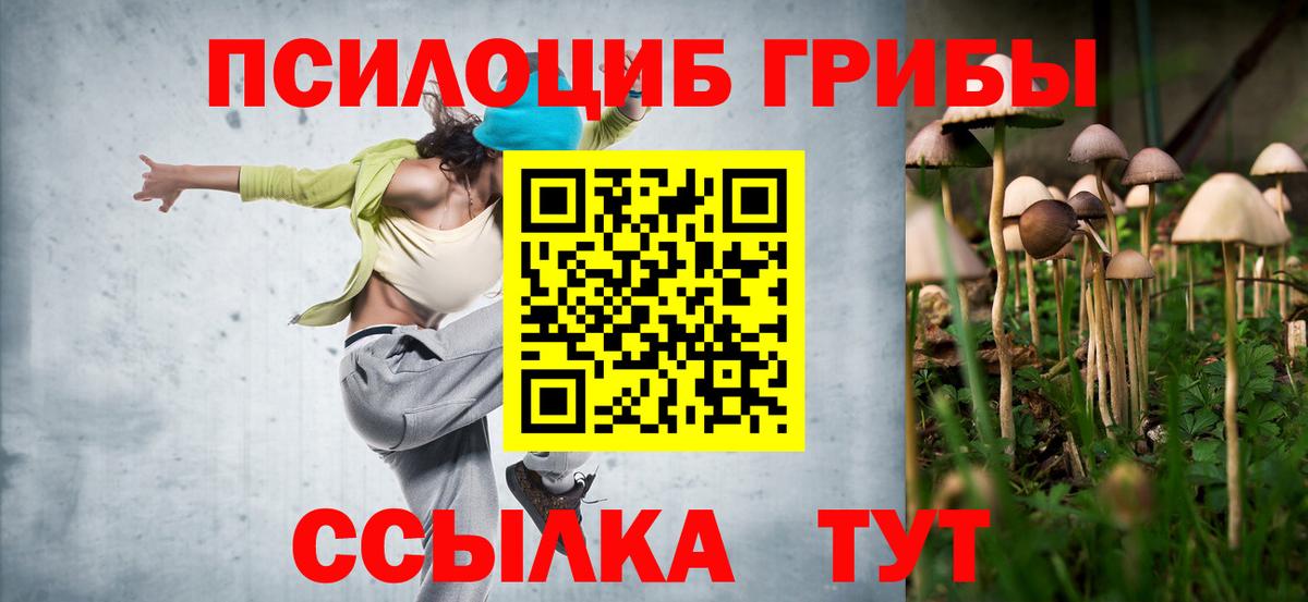 Галлюциногенные грибы Cubensis  Галлюциногенные грибы Psilocybe  Вход с VPN  Сибай 